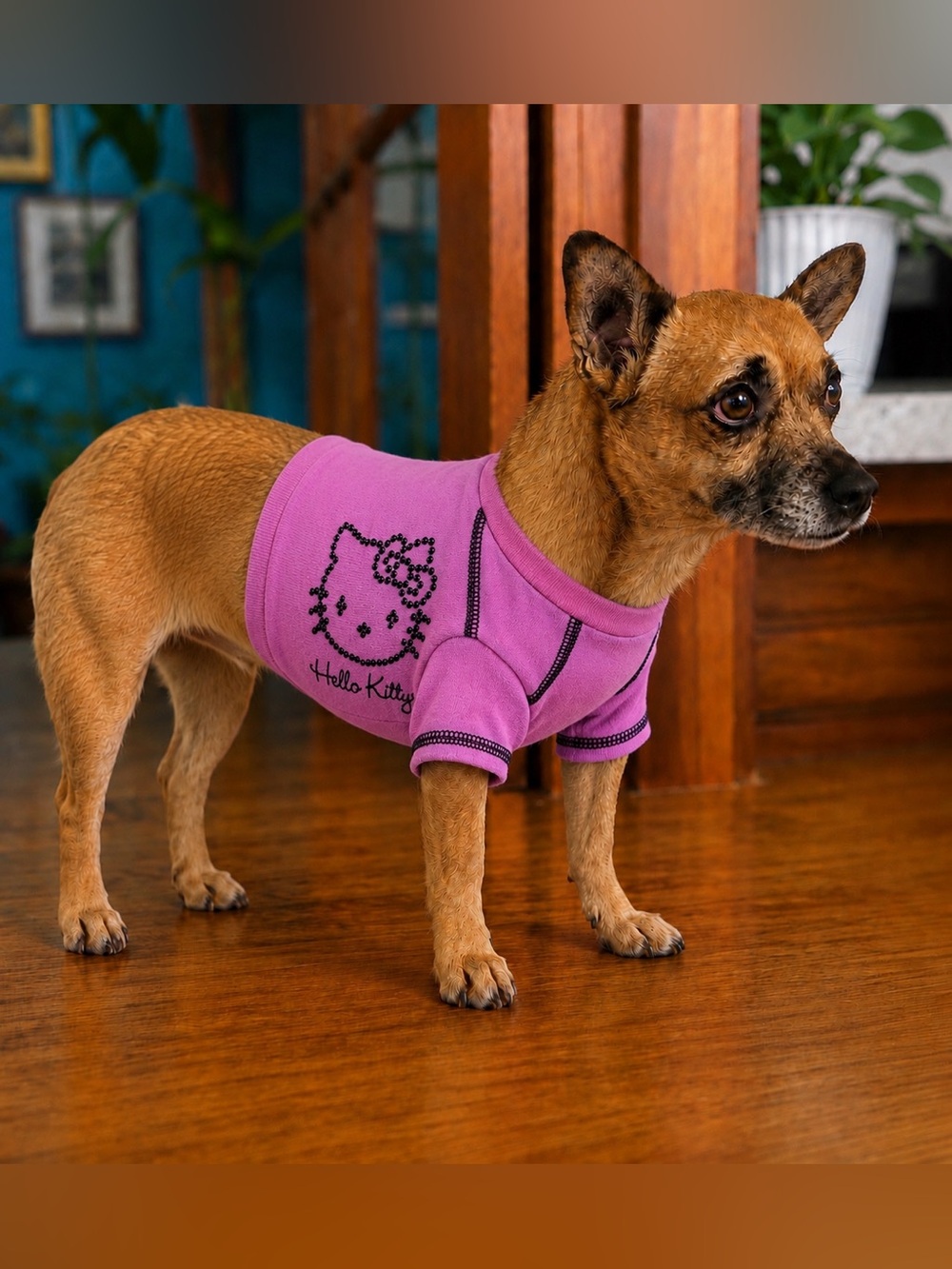 Hello Kitty Sanrio Pink Rhinestone Dog Shirt XS Pet Tee